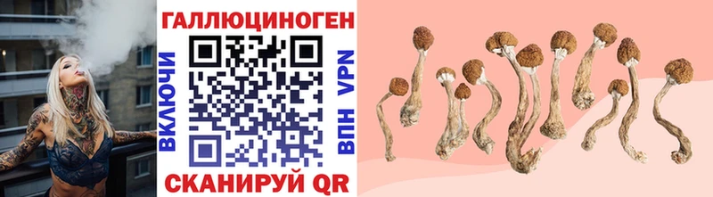 где купить наркоту  Ува  Псилоцибиновые грибы прущие грибы 